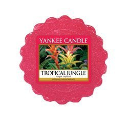 YANKEE CANDLE TROPICAL JUNGLE  wosk  22G