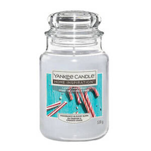 YANKEE CANDLE Świeca zapachowa Candy Cane Forest 340 g