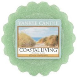 YANKEE CANDLE COASTAL LIVING  wosk  22G